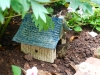 occupied toad house